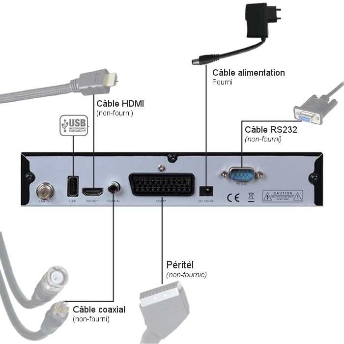 Connectiques Interfaces Free Live 3000 décodeur FTA Bfsat
