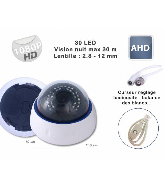 Camera de surveillance PWD-1080P Blanche IR 30 LED IR CUT - 1080P
