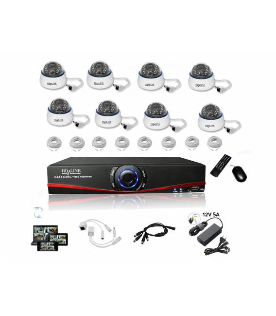 Kit Vidéosurveillance IP NVR 8 dômes IP-1200DC 8x 20m RJ45 8x adaptateurs DC/RJ45 1/8 splitter Alim