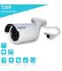 IP Farb Überwachungskamera IP-1250WC Videoüberwachung 720P Innen/Außen Waterproof 36 LED Tag/Nacht IR CUT Metall
