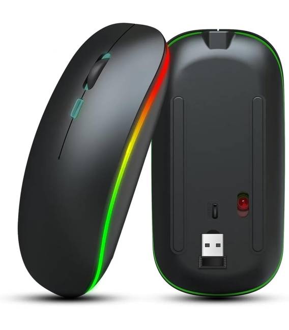 Souris de Rechargeable noir 
