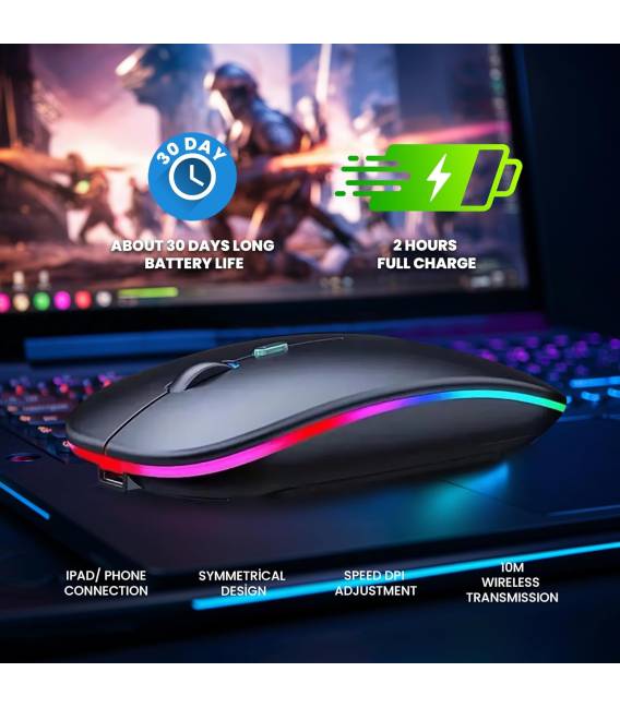 Souris de Rechargeable noir 