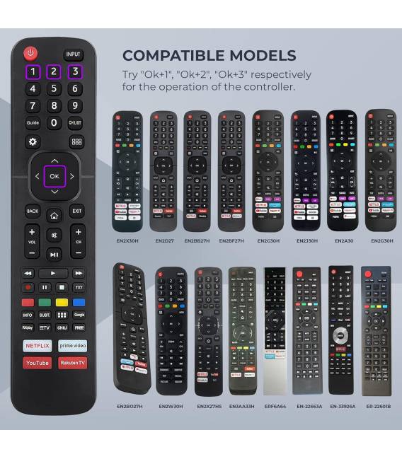 hisense Télécommande TV Universelle 