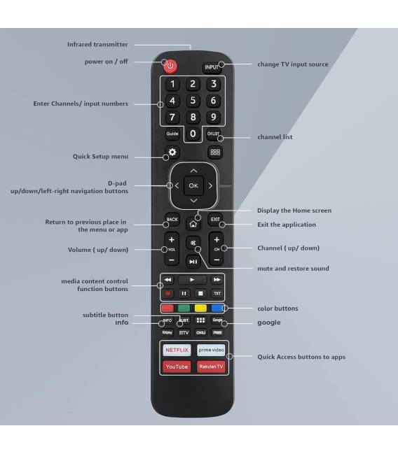 hisense Télécommande TV Universelle 
