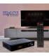 HD-LINE PRO HD-310S PRO - Démodulateur satellite pour chaines HD FTA USB PVR